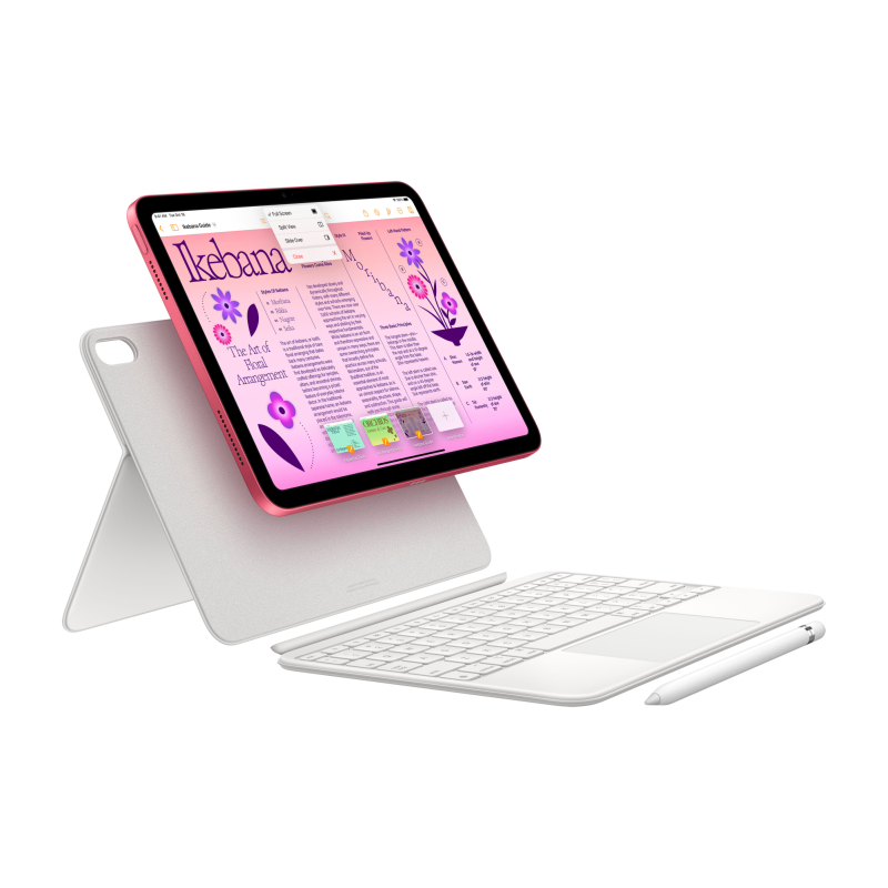 Apple iPad 11" (A16) Wi-Fi + Cellular 256 ГБ, Розовый